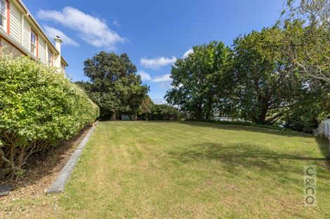 Photo of property in 14 Nelson Street, Helensville, 0800