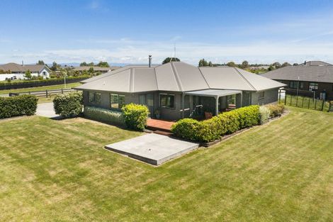 Photo of property in 115 Mount Taylor Drive, Feilding, 4775