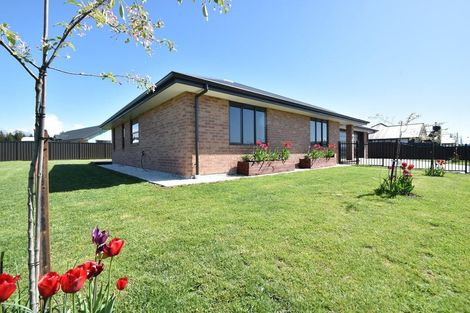 Photo of property in 8 Birch Hill Drive, Twizel, 7901