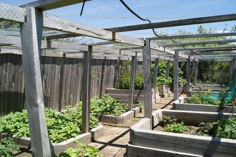 Photo of property in 107 District Road, Palmerston, 9430