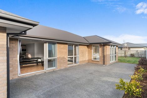 Photo of property in 58 Platinum Drive, Wigram, Christchurch, 8025
