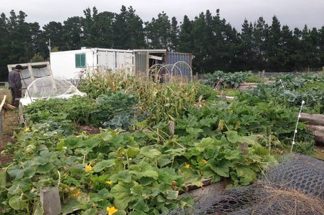 Photo of property in 148 Maskells Road, Balcairn, Amberley, 7481