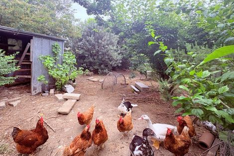 Photo of property in 15 Osler Street, Wairoa, 4108