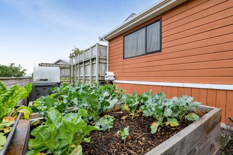 Photo of property in 52 Bayly Road, Blagdon, New Plymouth, 4310