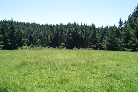 Photo of property in 107 District Road, Palmerston, 9430