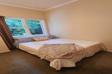 Photo of property in 48 Aurora Terrace, Kelburn, Wellington, 6012