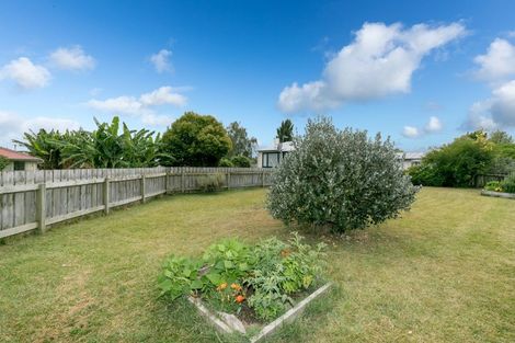 Photo of property in 53 Mardon Road, Enderley, Hamilton, 3214