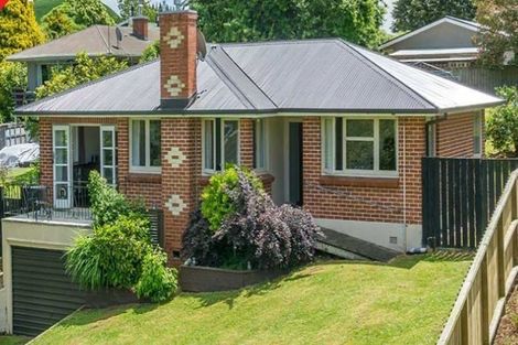 Photo of property in 34 Station Street, Tirau, 3410