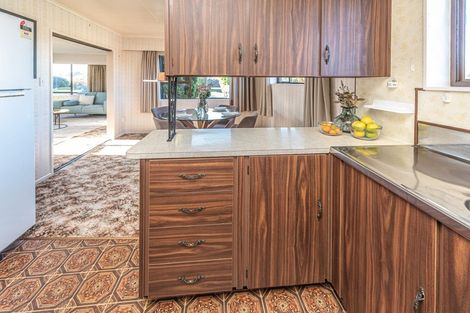 Photo of property in 19 Lindsey Crescent, Springvale, Whanganui, 4501