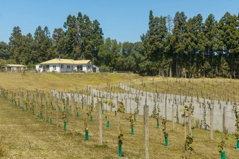 Photo of property in 195 Stewart Road, Whakamarama, Katikati, 3181