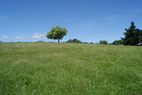 Photo of property in 107 District Road, Palmerston, 9430