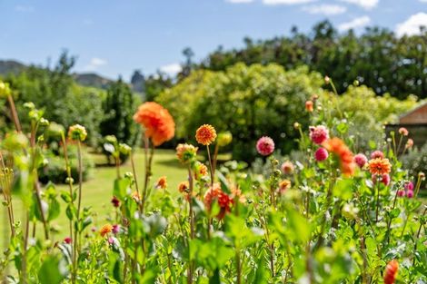 Photo of property in 1146 No 3 Road, Te Puke, 3183