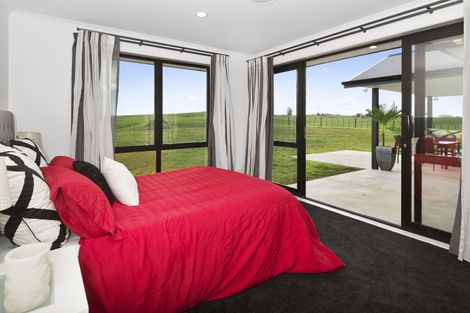 Photo of property in 191 Whangamarino Road, Whangamarino, Te Kauwhata, 3782