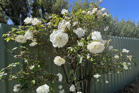 Photo of property in 75 Wilfrid Street, Newfield, Invercargill, 9812