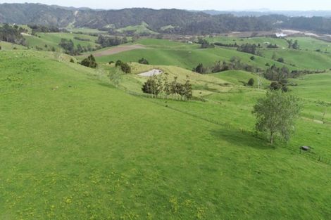 Photo of property in 229 Pakaru Road, Kawakawa, 0282