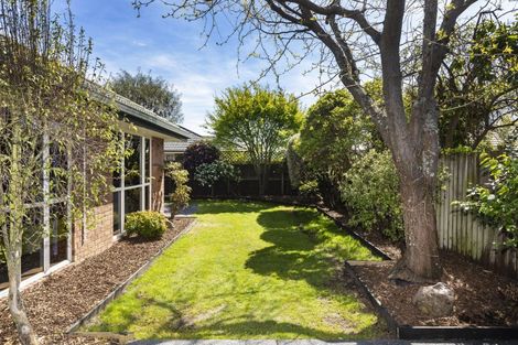 Photo of property in 2/9 Selwyn Street, Somerfield, Christchurch, 8024