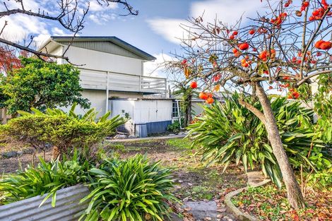 Photo of property in 106 Oak Street, Mangapapa, Gisborne, 4010