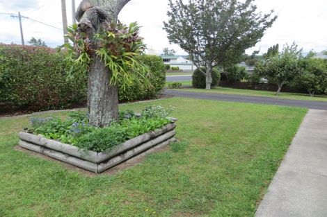 Photo of property in 8 Brick Street, Te Aroha, 3320