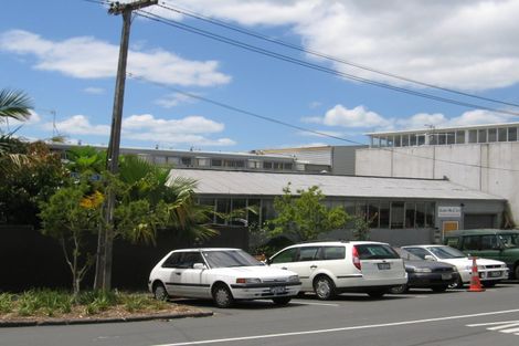 Photo of property in 3a Central Road, Kingsland, Auckland, 1021