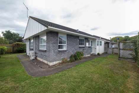 Photo of property in 3/26 Te Aute Road, Havelock North, 4130