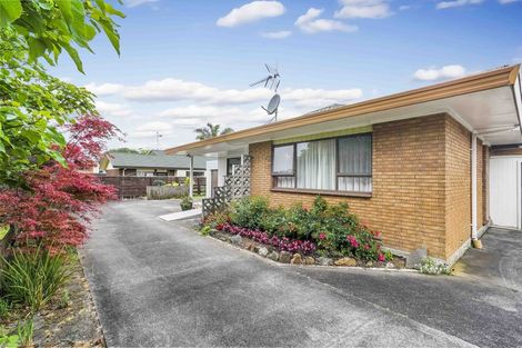Photo of property in 110c Studholme Street, Morrinsville, 3300