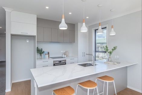 Photo of property in 83a Winchester Street, Levin, 5510