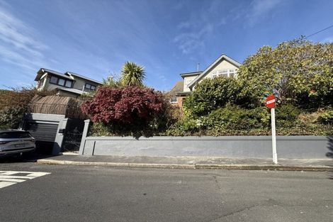 Photo of property in 30 Charlotte Street, Roslyn, Dunedin, 9010