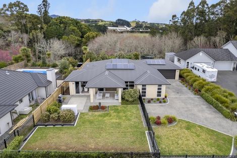 Photo of property in 19 Louise Drive, Ohauiti, Tauranga, 3112