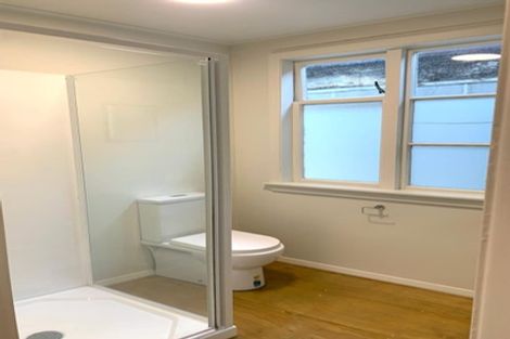 Photo of property in 95 Tasman Street, Mount Cook, Wellington, 6021