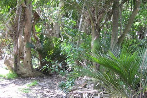 Photo of property in 5 Sylvan Glade, Piha, New Lynn, 0772