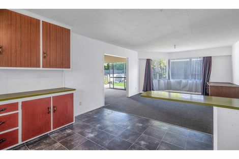 Photo of property in 235 Nelson Street, Strathern, Invercargill, 9812