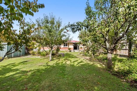Photo of property in 8 Mabel Street, Levin, 5510