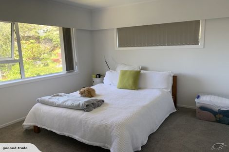 Photo of property in 49 Mayfair Crescent, Mairangi Bay, Auckland, 0630