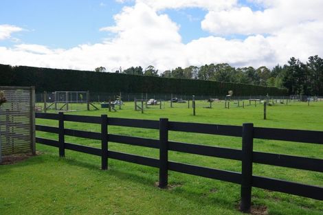 Photo of property in 1687 Broadlands Road, Broadlands, Reporoa, 3081