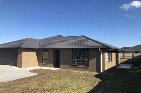 Photo of property in 78 Wairau Drive, Tikipunga, Whangarei, 0112