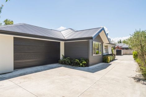 Photo of property in 33a Windsor Street, Terrace End, Palmerston North, 4410