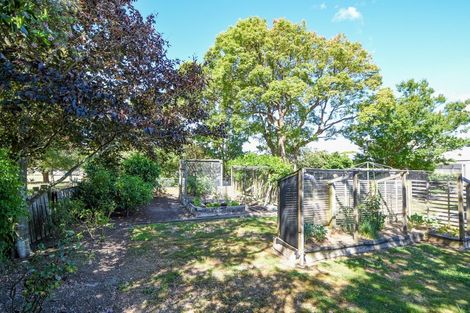 Photo of property in 19 Taverner Street, Carterton, 5713