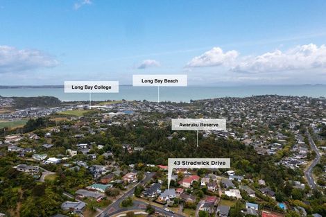 Photo of property in 43 Stredwick Drive, Torbay, Auckland, 0630