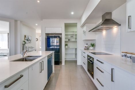 Photo of property in 25 Tauhinu Avenue, Lincoln, 7608