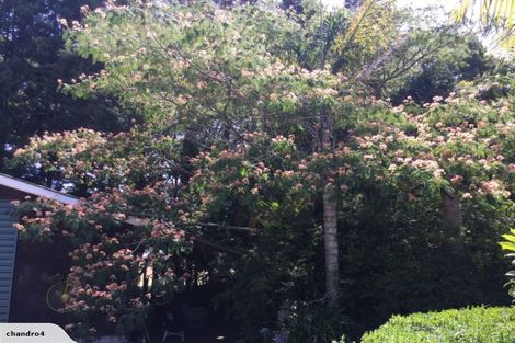 Photo of property in 88 Te Pua Road, Kaikohe, 0472