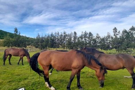 Photo of property in 4942 Hampden-palmerston Road, Bushey, Palmerston, 9482