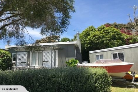 Photo of property in 131 Arapera Road, Hatepe, Turangi, 3382