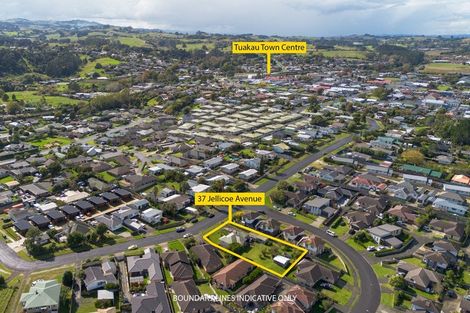 Photo of property in 37 Jellicoe Avenue, Tuakau, 2121