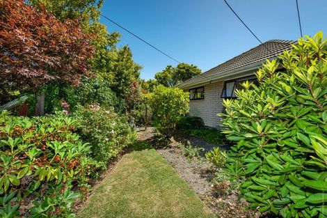Photo of property in 7 Kingston Place, Bishopdale, Christchurch, 8053