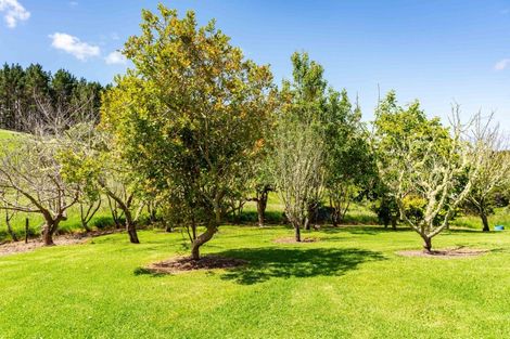 Photo of property in 349 Campbell Road, Parua Bay, Onerahi, 0192