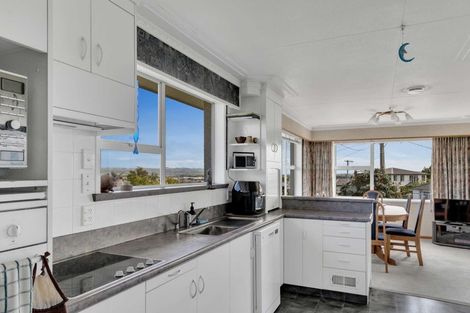 Photo of property in 56 Johnston Street, Gore, 9710