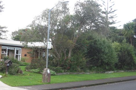 Photo of property in 29 Collie Street, Hillpark, Auckland, 2102