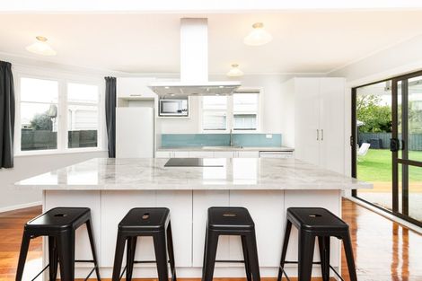 Photo of property in 46 Leicester Street, Terrace End, Palmerston North, 4410