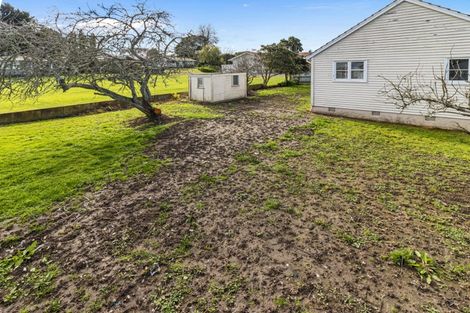 Photo of property in 131 Anderson Street, Morrinsville, 3300