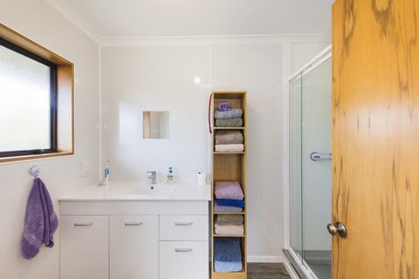 Photo of property in 197 Albert Street, Hokowhitu, Palmerston North, 4410